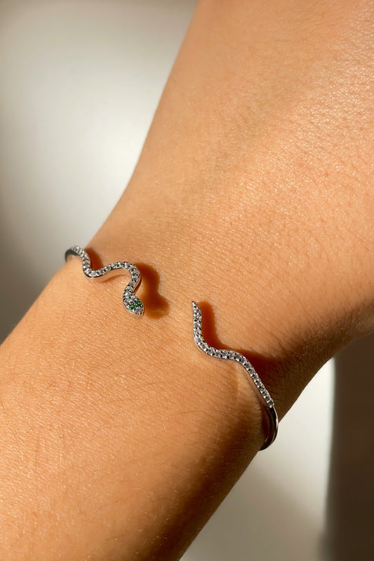 Bracelet Snake